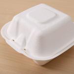 Biodegradable Compostable Sugarcane Bagasse Pulp Sugar Cane Disposable Tableware