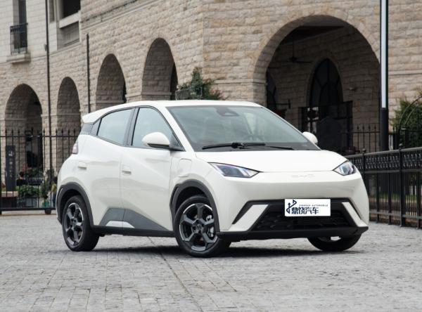 Good Price Competitive Automobile Factory 2WD BYD EV Car Seagull 4Seater Pure