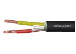 Two Cores Stranded Copper Conductor 1kV PVC Insulated Cable with PVC sheathed