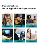 ROHS 5V USB Microphone With 4 Immersive Reverb Modes