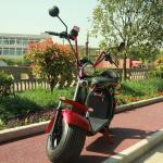 EcoRider 2 wheel electric scooter 1500w brushless hub motor with big fat tire