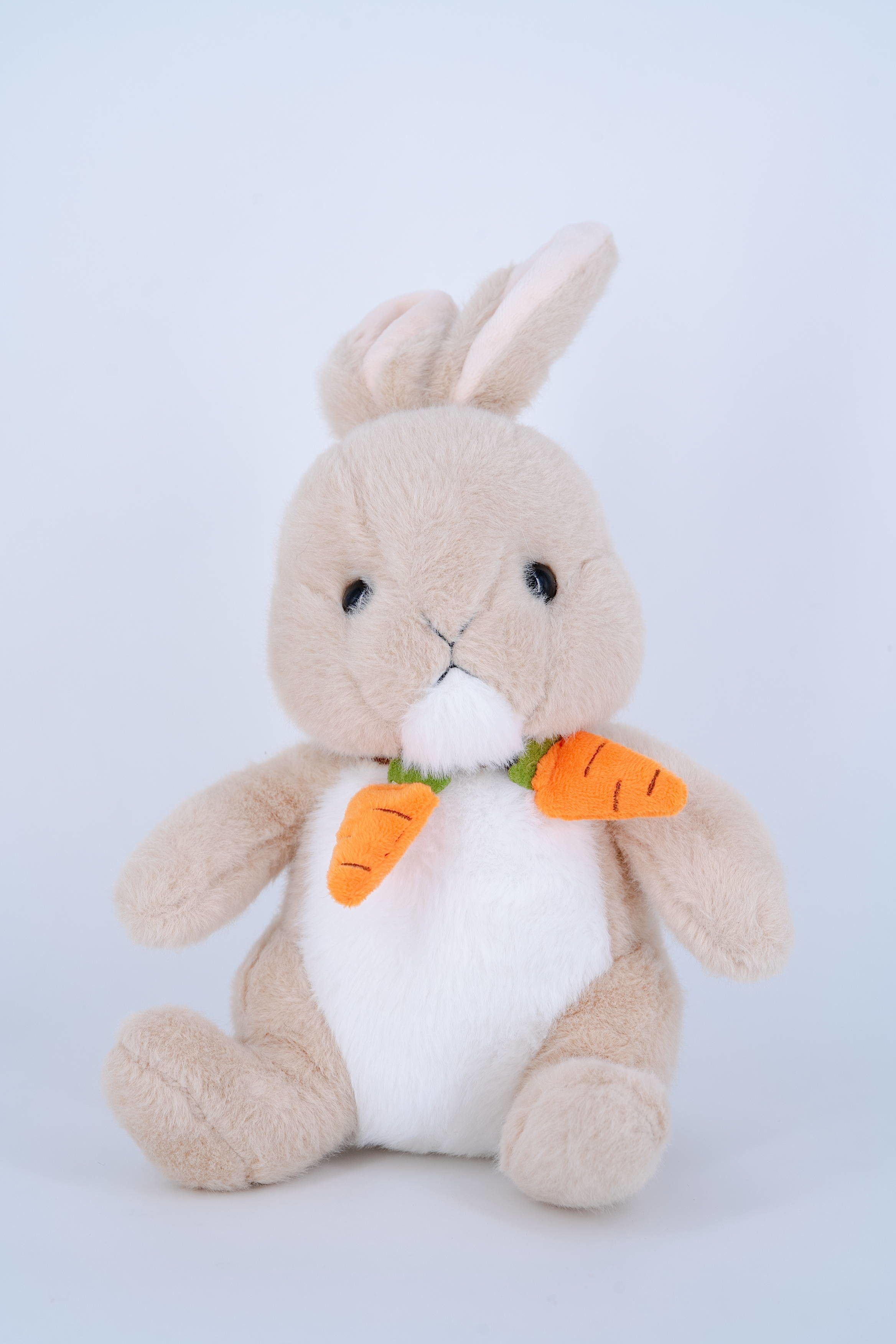 OEM Custom Design Made Mascot Dolls Carrot Rabbit Holding Cute Plush Toy