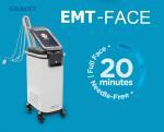 Face Lifting EMS Sculpting Machine 50Hz 60Hz With 3 Handles