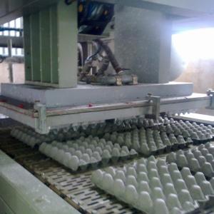 Wholesale Farm Egg Box Forming Machine Carton Machinery Type Pulp Molding from china suppliers