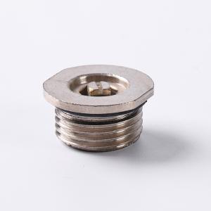 Wholesale FY-A36 Steam Radiator Air Valve , Radiator Vent And Blanking Plug from china suppliers