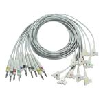 Compatible GE ECG Diagnostic Cable 10Lead IEC Banana for GE AM4,AM5, CASE 12