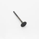 Machinery Diesel Engine Valve 4TNV106 129104-11101 Inlet Exhaust Valves For
