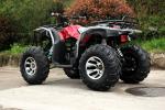 Manual Clutch Water Cooled 250CC Utility Vehicles ATV With CDI Electric Start