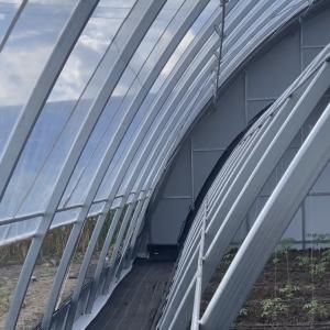 Wholesale Farming with Sunlight Greenhouse Aquaculture Hydroponics Growing System JX-A00201 from china suppliers
