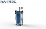 4 Handles Fat Freezing Cryolipolysis Slimming Machine with 8L Big Water Tank