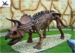 Outdoor Dinosaur Skeleton Model , Customized T Rex Skull Replica Full Size