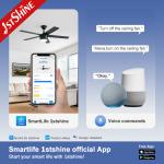 1stshine Decorative Ceiling Fan with Light 6 Speed Remote Control and 10-Year