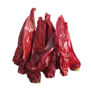 Wholesale HACCP 0.5 - 1.5cm Chilli Ring High Polished Pungent Chilli Flavor 20KG/CTN from china suppliers