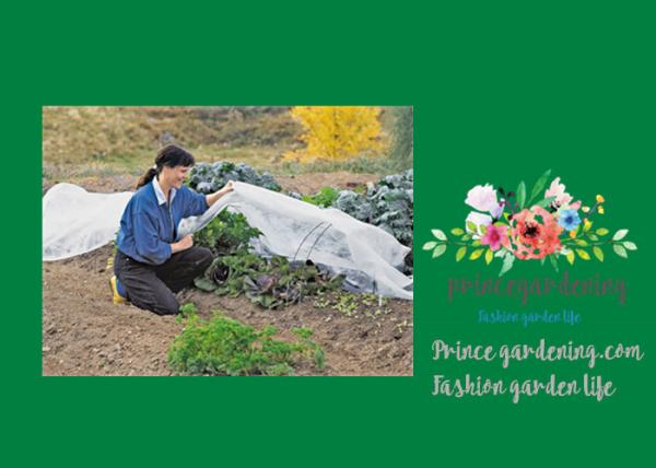 Quality Vegetable Garden Shade Netting , Plant Shade Cover For Garden for sale