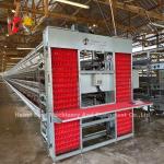 120 Birds Capacity Poultry Battery Cages Automatic A Or H Layer Farm Doris