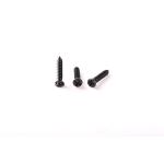 High Precision Micro Screw Polishing Treatment Stainless Steel Micro Screw for