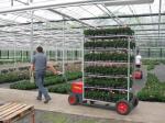 Plywood Board L1340mm Danish Flower Trolley Balcony Use With PP/PU/TPR Castor