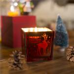 Reed Diffuser Luxury Scented Glass Candle Holder With Customized Logo