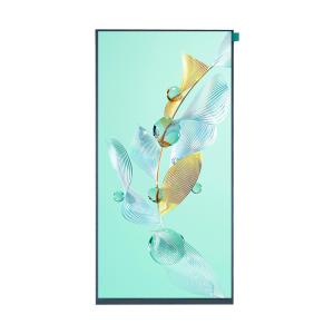 Wholesale 9.9 Inch TFT Display Module 720*1600 Resolution MIPI Interface 450C/D ICFL7707N from china suppliers