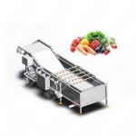 Good Quality Tank Domestic Vortex Pineapple Herbal Washing Machine