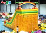 Adult Backyard Inflatable Water Slide With Swimming Pool Blow Up Slip N Slide