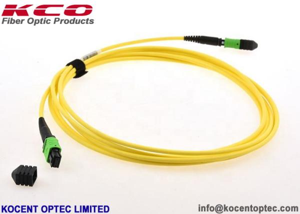 24 Core MPO / APC Single Mode SM 9/125 Optical Fibre Patch Cord PVC LSZH Type A