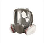 PPE Anti-toxic Chemical Full Face Gas Mask With Filter