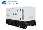 250 KVA AC 3 Phase Silent Diesel Generator 50HZ Frequency Brushless