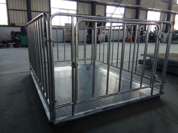 Carbon Steel 1t 2t 3t Livestock scale, cattle Weighing Scales For horse Pig Cow