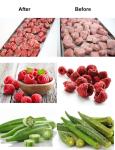 Hand Best Price Small Freeze Dryer Home Supermarket