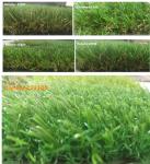 Plastic Outdoor Artificial Turf Carpet PE PP Yarn System Intense Usage