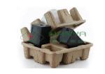 400Pcs/H Energy Saving Waste Paper Pulp Tray Machine / Waste Paper Recycling