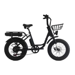 Wholesale 2024 Super Electric Hybrid Bike 20 inch Fat Tire e-bike for Woman 48V Smart Sensor from china suppliers