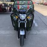 Electric Dump 1 Ton 800 Watt Adult Cargo Tricycle