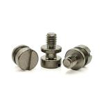 ZINC Finish A2-70 Stainless Steel Double-Step Slotted Screw for Reliability Test