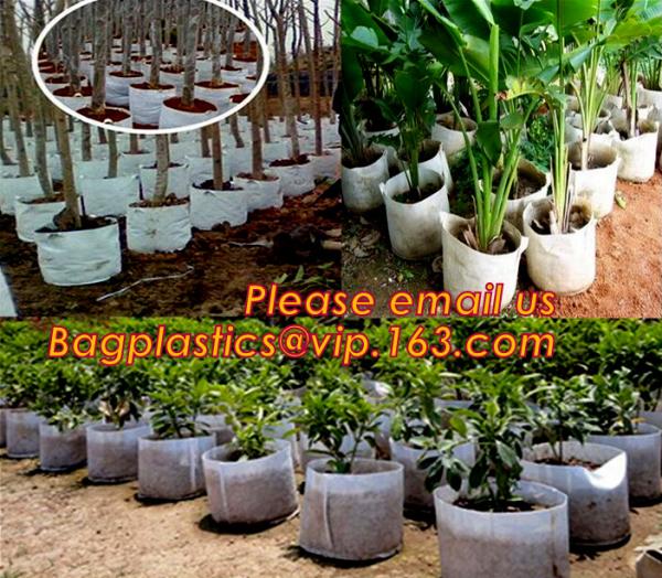 Grow Bags with Flap and Handles Collapsible 10 gallons,garden plant growing pot