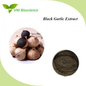Wholesale Antiacid Plant Herbal Extract Antibacterial Black Garlic Extract Allicin from china suppliers