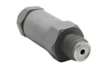 1110010035 Common Rail Pressure Limit Valve For Bosch Injection Parts