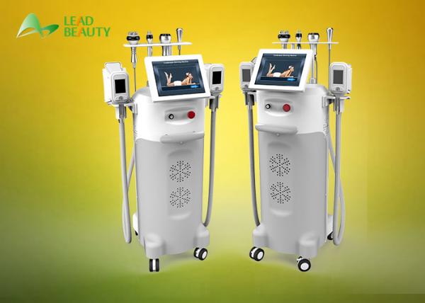 Quality LEADBEAUTY cryolipolysis fat freeze slimming machine with 5 handles for sale
