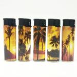 BBQ Encendedor Plastic Candle Electric Lighter Model NO. DY-072 for Corporation