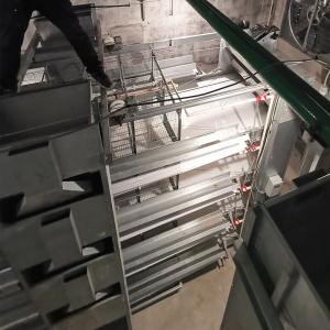 Wholesale 8.67m/Min Livestock Automatic Chicken Feeder System , SGS 0.75kw Chicken Feed For Laying Hens from china suppliers