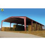 Tolerance ±1% Customized Light Steel Structure Farm Shed Storage Warehouse