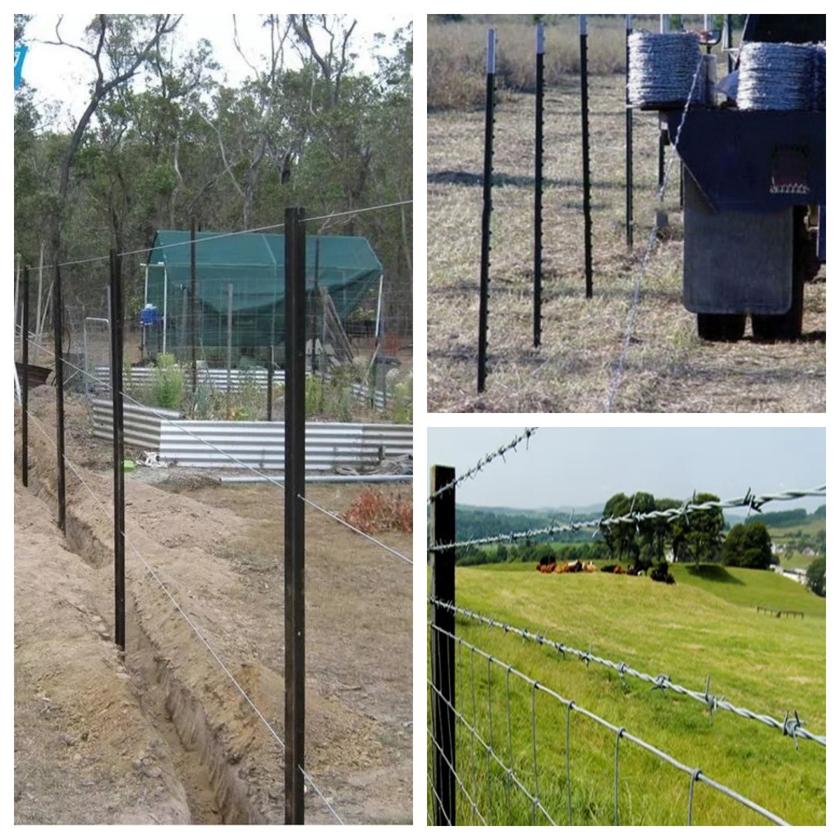 Galvanized Y Steel Fence Posts For Cattle Farm Fence Use
