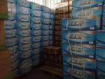 Weichai Engine Fuel Filter Assembly 1000428205 for Truck Fuel Water Separator