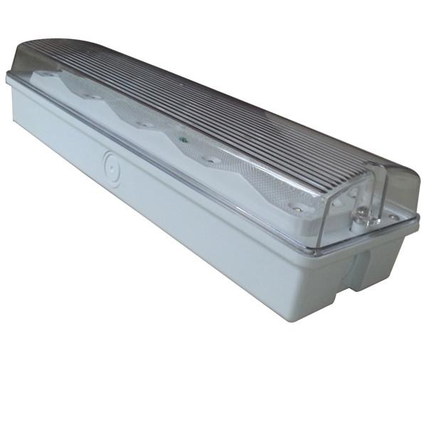 Maintained / Non Maintained IP65 Waterproof Emergency Light 220V - 240V 50Hz /