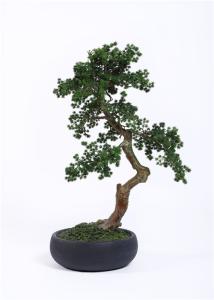 Wholesale 100cm Bonsai Pine Tree Fill Any Space No Watering Necessary Breathtakingly Real from china suppliers