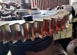 Wholesale Aluminium Bronze ZCuAl10Fe3 Worm Gear Wheel 10 Module For Worm Gearbox from china suppliers
