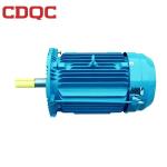 160 Kw Variable Speed Electric Motor Low Rpm Better Overload Capacity