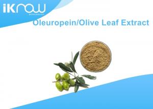 Wholesale Brownish Yellow Olive Leaf Extract / Oleuropein 20%~60% For Health from china suppliers