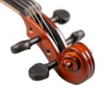 Fengling FLV2113 Full Size Flamed Solid Wood Violin Handmade for Beginner